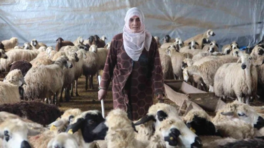 Köye yerleşen 3 çocuk annesi kadın devletten aldığı destekle çiftlik kurdu