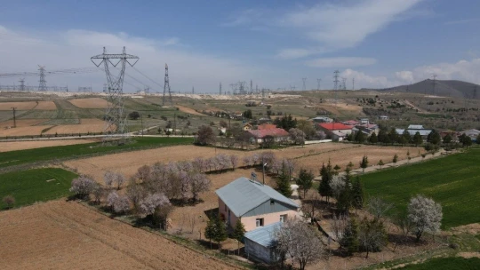 Vatandaş Neye Uğradığını Şaşırdı