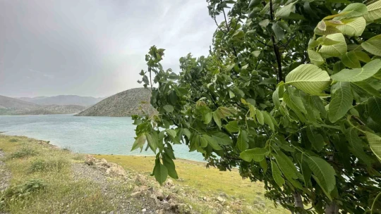 Kuraklığın vurduğu baraj yağışlarla birlikte yeniden canlandı