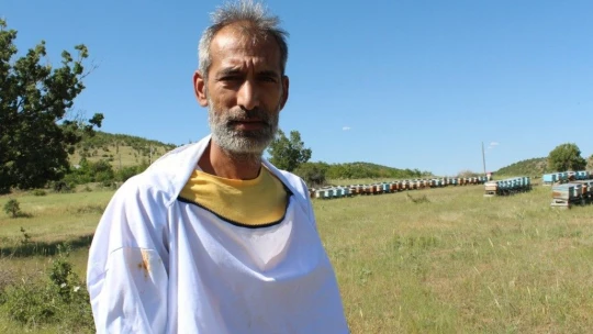 Kuraklık ve toz taşınımı arıcıları vurdu