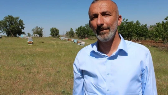 Kuraklık ve toz taşınımı arıcıları vurdu