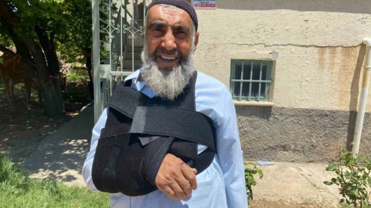 Kurban Bayramının ilk 'kaçağı' Elazığ'dan: Kurbanlık inek sahibinin omurgasını kırıp kaçtı
