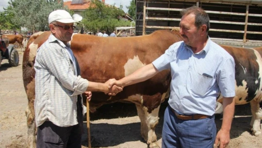 Kurban satış ve kesim yerlerinde alınacak tedbirler açıklandı