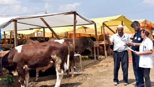 Kurban satış ve kesim yerlerinde alınacak tedbirler açıklandı