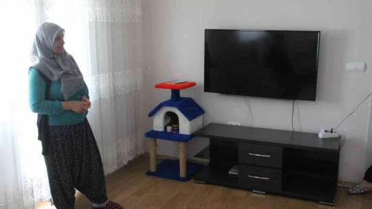 Kurtçuk televizyon ekranının içine yuva yaptı, aile neye uğradığını şaşırdı