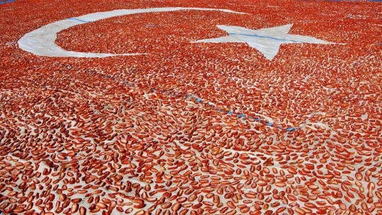 Kurutmalık domateslerle ay yıldızlı Türkiye haritası oluşturuldu