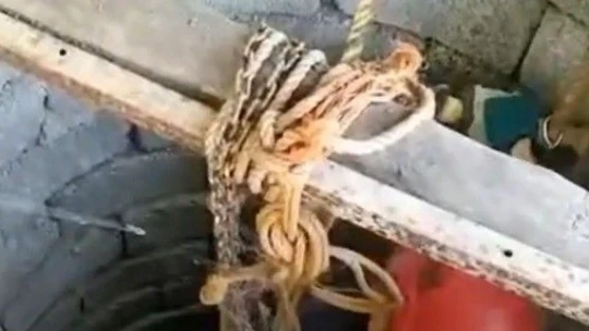 Kuyuya düşen kedi kurtarıldı