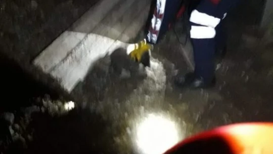 Kuyuya düşen köpek ve yavrusunu itfaiye ekipleri kurtardı