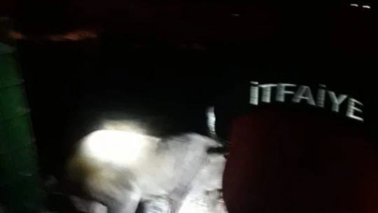 Kuyuya düşen köpek ve yavrusunu itfaiye ekipleri kurtardı