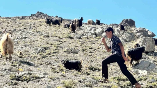 LGS'de Türkiye ikincisi olan çoban Muhammet'in ailesi başarının altındaki gerçekleri anlattı