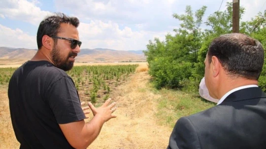 Elazığ'ın Gururu Manolya Peyzaj Ve Çiçekçilik