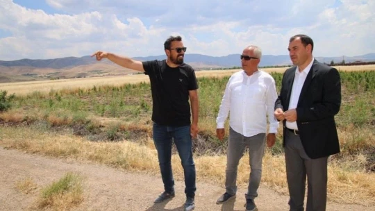 Elazığ'ın Gururu Manolya Peyzaj Ve Çiçekçilik