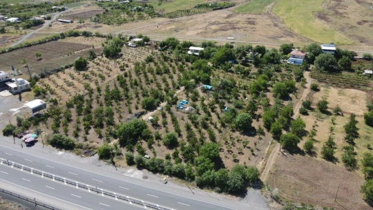 Kiraz Hasadı Başladı
