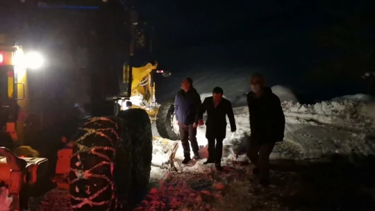 Mezrada mahsur kalıp ilaçları biten iki kardeşin imdadına Kaymakam yetişti