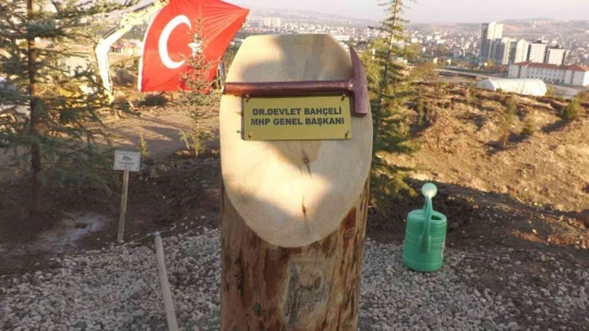 MHP Lideri Devlet Bahçeli, adının verildiği hatıra ormanına fidan dikti