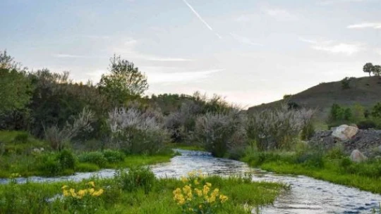 Mirvan Çayı, dört mevsim farklı güzelliğiyle göz kamaştırıyor