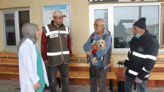 Muğla'da çalınan köpek, çipi sayesinde Elazığ'da bulunarak sahibine teslim edildi