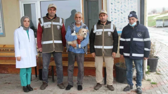 Muğla'da çalınan köpek, çipi sayesinde Elazığ'da bulunarak sahibine teslim edildi
