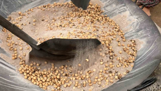 Nohudun 200 derecelik meşe ateşinde başlayan yolculuğu