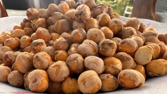 Nohudun 200 derecelik meşe ateşinde başlayan yolculuğu