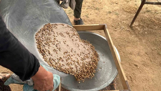 Nohudun 200 derecelik meşe ateşinde başlayan yolculuğu