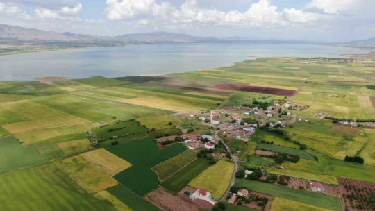 Önceden çölü andıran baraj sahası suyla doldu