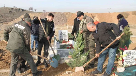 Orman Bölge Müdürlüğü, kimsesizler mezarlığına gömülen kızın mezarına ağaç dikti