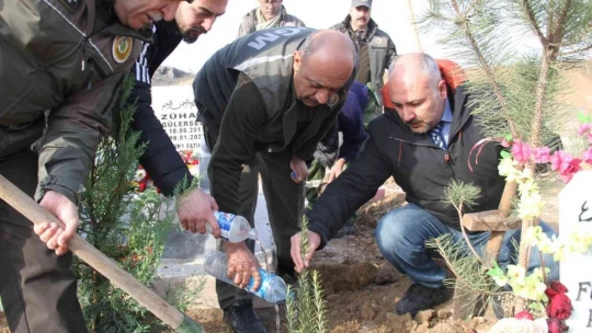 Orman Bölge Müdürlüğü, kimsesizler mezarlığına gömülen kızın mezarına ağaç dikti