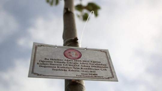 Ormancı babadan örnek uygulama