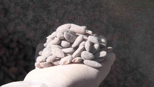 Osmanlı'dan gelen lezzet: Badem şekeri