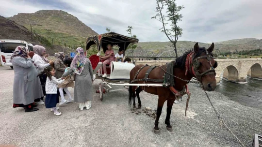 Palu'yu ziyaret edenler tarihi ilçeyi artık faytonla gezebilecek