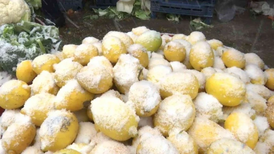 Pazarcı esnafının dondurucu soğukta zorlu ekmek mücadelesi
