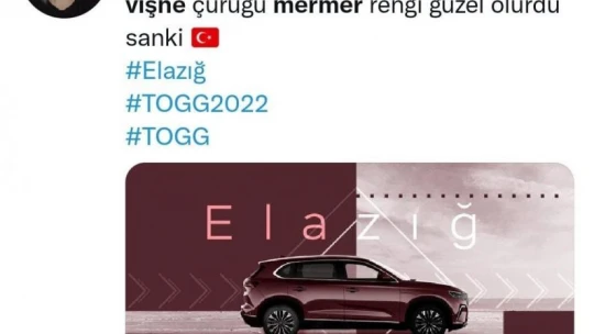Rengi ve dokusuyla dünyada tek olan 'Elazığ Vişne Mermeri'nde TOGG talebi