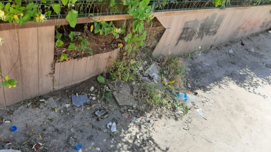 Şehrin Göbeğinde Neler Oluyor?