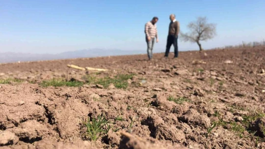 Risk alarak baraj sahasını eken çiftçileri 'Yağış' endişesi sardı