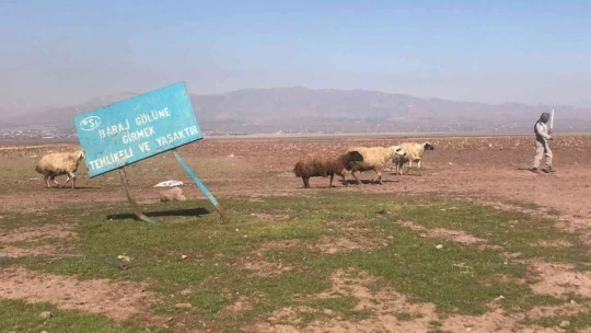 Risk alarak baraj sahasını eken çiftçileri 'Yağış' endişesi sardı