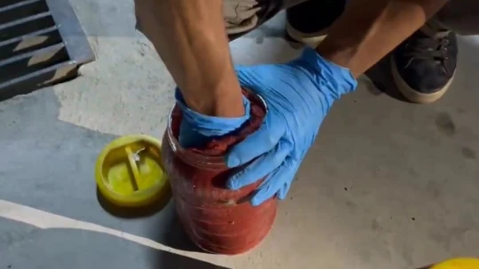 Salça bidonu içinde uyuşturucu sevkiyatı 'Nina'dan kaçmadı: 2 gözaltı