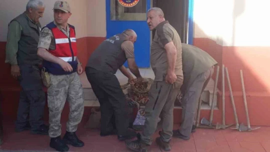 Salep soğanı toplayan 6 kişiye 678 bin lira ceza