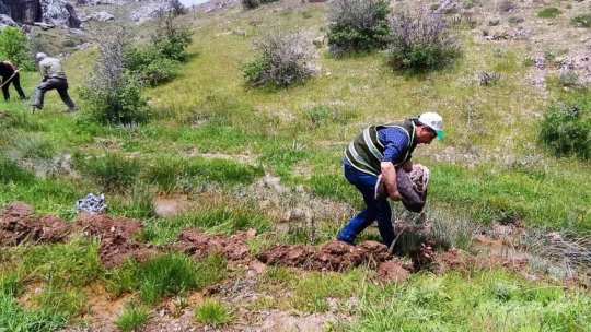 Salep soğanı toplayan 6 kişiye 678 bin lira ceza