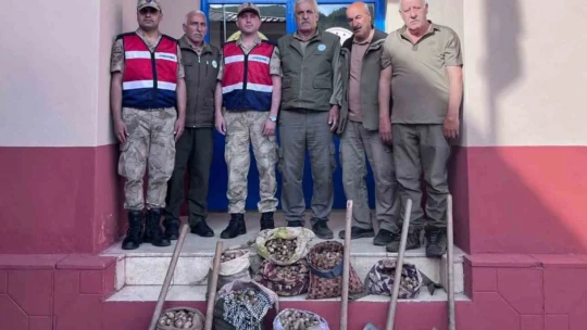 Salep soğanı toplayan 6 kişiye 678 bin lira ceza