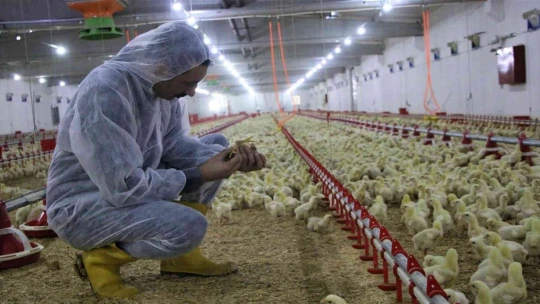 Şehir hayatından sıkıldı, devletten aldığı destek ile köye dönüp çiftlik kurdu