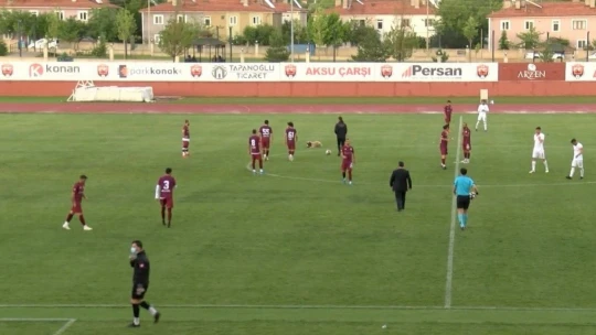 Sevimli köpek önce futbolcularla antrenman yaptı sonra sahadan çıkmadı