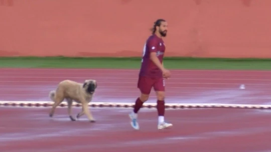 Sevimli köpek önce futbolcularla antrenman yaptı sonra sahadan çıkmadı