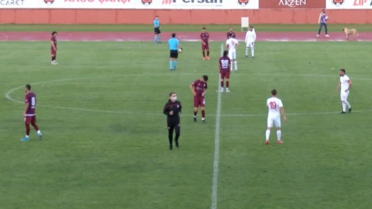 Sevimli köpek önce futbolcularla antrenman yaptı sonra sahadan çıkmadı