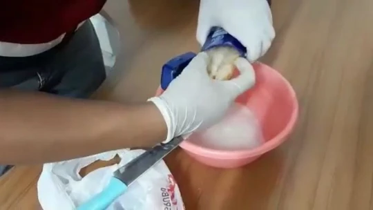 Şeytanın bile aklına gelmez, şampuan kutusundan esrar çıktı