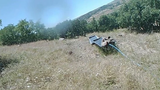 Sıcaktan bunalan boz ayı suvata girerek serinledi
