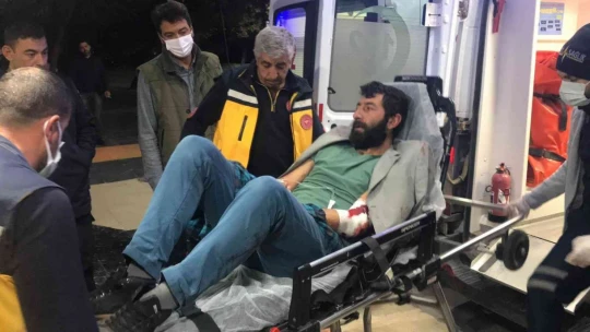 Silahıyla domuzları vurmak isteyen çoban kendini yaraladı