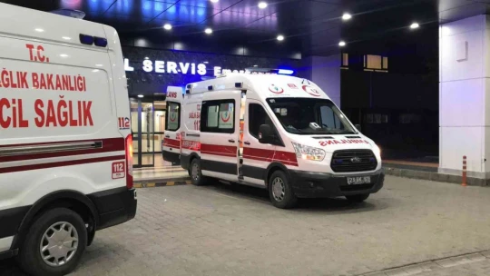 Silahıyla domuzları vurmak isteyen çoban kendini yaraladı
