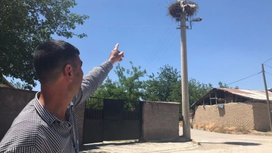 Beyaz Pamuk ve Leylek Baba Yavrularıyla Görüntülendi