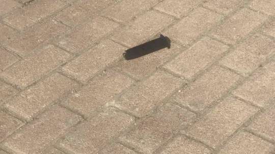 Sokak ortasında kurusıkı tabancanın dipçiğiyle 2 kardeşi darp etti, o anlar kameralara yansıdı